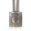 Zilveren Prinsessen Nagellak