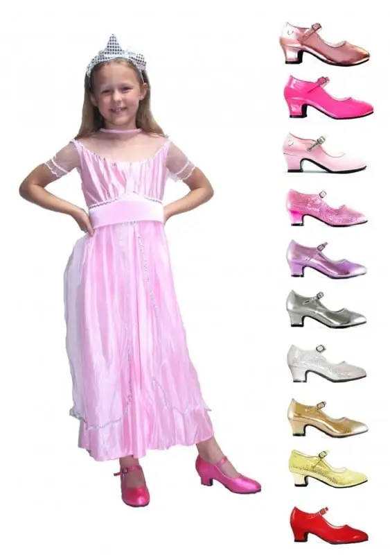 Prinsessenjurk Roze Prinses PAKKET