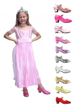Prinsessenjurk Roze Prinses PAKKET