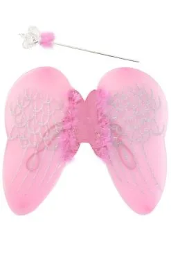 Vleugels En Stafje Prinses